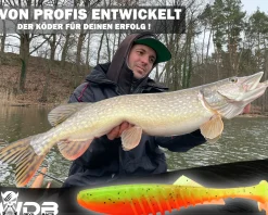 Wild Devil Baits Shockwave Shad Gummifisch Kunstköder Softlure Gummiköder Hecht Barsch Zander Angelköder Raubfischköder Angelköder