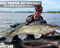 Wild Devil Baits Shockwave Shad Gummifisch Kunstköder Softlure Gummiköder Hecht Barsch Zander Angelköder Raubfischköder Angelköder