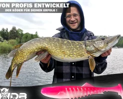 Wild Devil Baits Shockwave Shad Gummifisch Kunstköder Softlure Gummiköder Hecht Barsch Zander Angelköder Raubfischköder Angelköder
