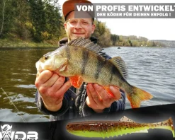 Wild Devil Baits Shockwave Shad Gummifisch Kunstköder Softlure Gummiköder Hecht Barsch Zander Angelköder Raubfischköder Angelköder