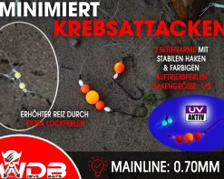 Wild Devil Baits Surf Leader Brandungsvorfach Plattfisch Meeresvorfach Salt Rig Brandungssystem Meeresangeln verschiedene Varianten Angelköder