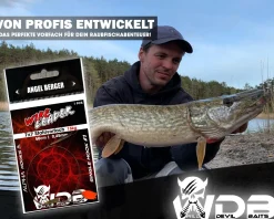 Wild Devil Baits Wire Leader Single Hook Stahlvorfach mit Einzelhaken 50cm 15kg Baitfish Rig 7x7 Raubfisch Vorfach Köderfisch Vorfächer Hechtangeln