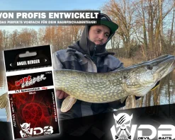 Wild Devil Baits Wire Leader Egg Snap - No Knot 7x7 Stahlvorfach 50cm Spinnvorfach Raubfisch Vorfach Kunstköder Vorfächer Angelzubehör